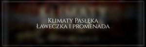 Stylowe ławeczki na pasłęckiej promenadzie