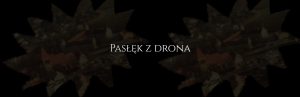 Pasłęk z drona