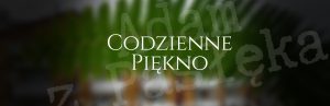 Codzienne piękno