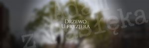 Drzewo u fryzjera