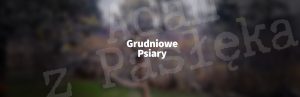 Grudniowe psiary