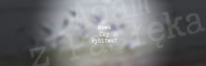 Mewa czy rybitwa?