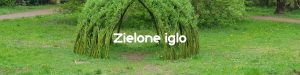 Zielone iglo