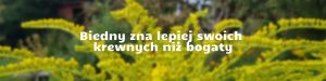 Biedny zna lepiej swoich krewnych niż bogaty – dziś niemieckie przysłowie