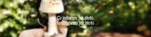 Co jednemu jak złoto to drugiemu jak błoto – przysłowie polskie