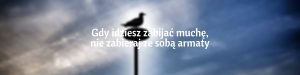 Gdy idziesz zabijać muchę nie zabieraj ze sobą armaty – polskie przysłowie